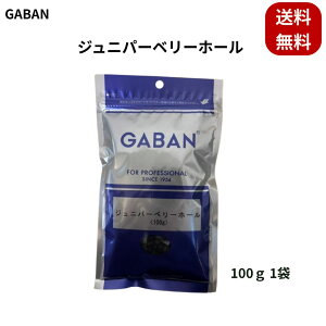 Mo Wjp[x[ 100g 1 GABAN h XpCX W̍t  WrG ύݗ V`[ }l [Xgr[t X[NT[ NtgW A}eBbN n[