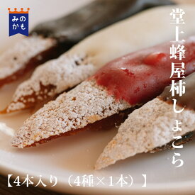 堂上蜂屋柿しょこら 和菓子 干し柿 ショコラ 贈答 ご当地 ギフト チョコレート ショコラ 和スイーツ フルーツチョコ 送料無料 ヴァローナ クーベルチュール ドライフルーツ