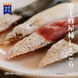 【バレンタイン】堂上蜂屋柿しょこら 和菓子 干し柿 ショコラ 贈答 ご当地 ギフト チョコレート ショコラ 和スイーツ フルーツチョコ 送料無料 ヴァローナ クーベルチュール ドライフルーツ