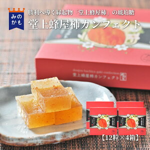 yz N̗ǂg2wߓ I`JtFNg 12 w` ` [[َq r㻉َq | G[ v`Mtg iEʁj