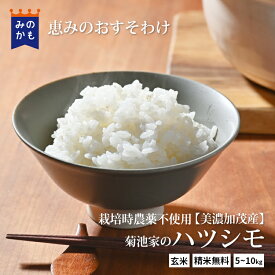 【若干分再販】【店長実家のお米】 岐阜県産 ハツシモ 5kg・10kg 農薬栽培期間中不使用 無 農薬 美濃加茂市産 恵みのおすそわけ 冷めても美味しい 玄米・精米 選べる精米歩合 令和7年産