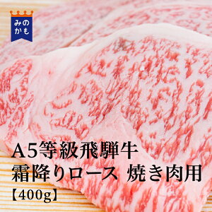 A5ˋ ~胍[X Ăp 400giBMS No.11jґ a  A5 ē Mtg 񂹃O    j v[g 