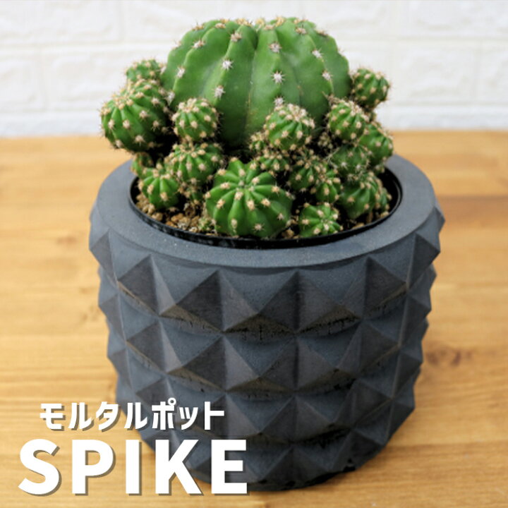 楽天市場】SPIKE モルタルポット (墨) 3号 4号 5号 スリット鉢 付き 