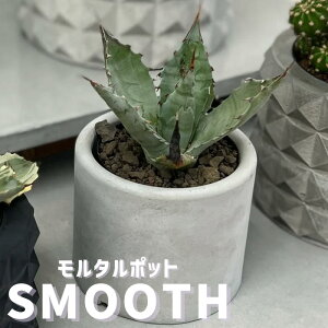 SMOOTH ^|bg 3 4 5 Xbg t ^ _ ۂ ی^  Aؔ 򍪐A A  T{e A  A|bg v^[ |bg t[|bg  