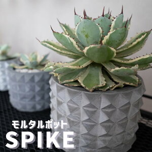 SPIKE ^|bg 3 4 5 Xbg t ^ _ ۂ ی^   Aؔ 򍪐A A  T{e A  A|bg v^[ |bg t[|bg 