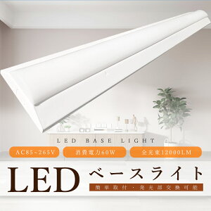 LEDx[XCg 12000lm 60W F5000K 1250mm txm 40W 2  LEDu LED x[XCg 40W txm 40W 2  LEDu 40W^ ̌^ V䒼t^ txm^ txm` LEDx[XCg 