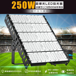 yق̖邳50000lmIzLED 250W F 6000K 50000lm ⓔ2500W 100V 200V LEDƓ LED  O h  Ɩ LED@ 250W Ɠ [NCg Lp120° IP65 h ȃGl VLED