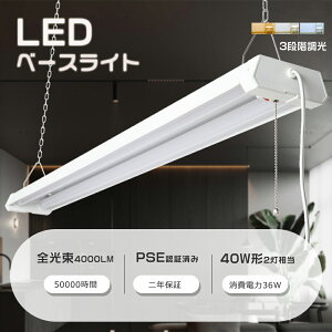 LEDx[XCg 40W2 2 ̌^ LEDu LEDx[XCg d36W 1219mm S4000lm LEDx[XCg vXCb` t^ ݂艺 VƖ 3iKFt t 