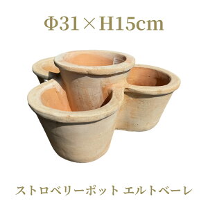 シャルカ ストロベリーポット エルトベーレ