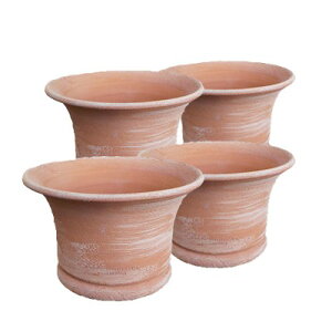 AeBR J`FOAh 19cm