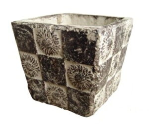 シャルカ サンエスタースクエアー S13cm