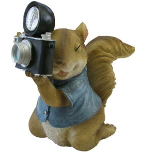 VJ \[[Cg X ` ydrgpsz