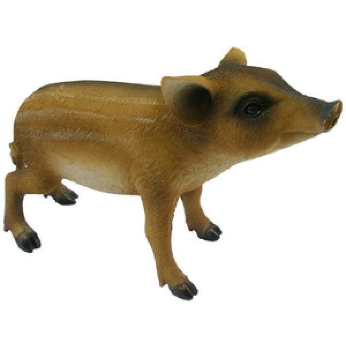 楽天市場 ウリボー シャルカ楽天市場店