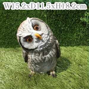 シャルカ フクロウ ワイティ−