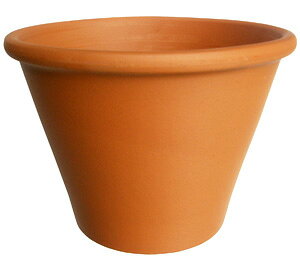 �f���[�} �o�b�T��28cm