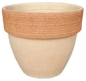 fOA pfBI 20cm