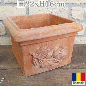 AeBR L[uS I[u 23cm