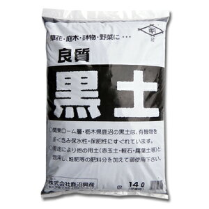 Y ǎ y14L