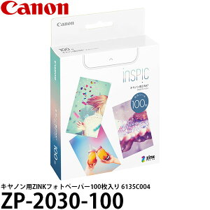 Lm ZP-2030-100 LmpZINKtHgy[p[100 6135C004 y[ z
