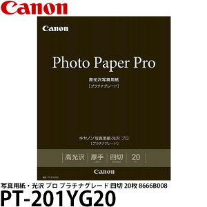 Lm PT-201YG20 ʐ^pE v v`iO[h l 20 8666B008 yz