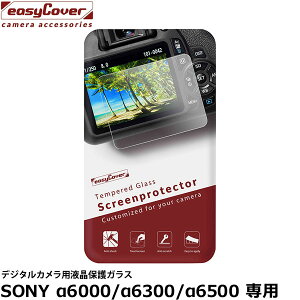 Wpzr[c[ C[W[Jo[ fW^Jptی십KX SONY 6000/6300/6500p y[ z