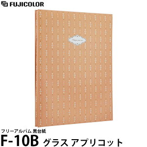 tWJ[ F-10BiBKjt[Ao ubN䎆10t OX AvRbg y[ z