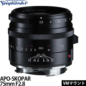 �R�V�i �t�H�N�g�����_�[ APO-SKOPAR 75mm F2.8 VM�}�E���g�p �u���b�N �y���������z�����i�F8����{�ȍ~�̔���