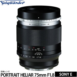 RVi tHNg_[ PORTRAIT HELIAR 75mm F1.8 \j[E}Egp yz