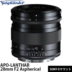 s12\t RVi tHNg_[ APO-LANTHAR 28mm F2 Aspherical \j[E}Egp yzy\z