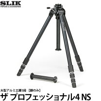 楽天市場】ザ プロフェッショナル4 nの通販