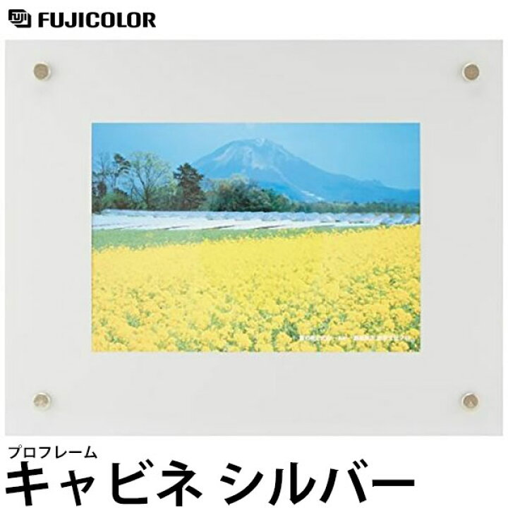 楽天市場】フジカラー プロフレーム 2L・キャビネ シルバー 【送料無料 