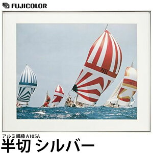 フジカラー アルミ額縁 A105A 半切 シルバー 【送料無料】