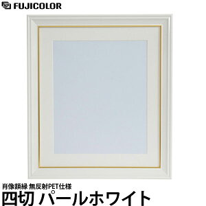 �t�W�J���[ �ё��z�� ������PET�d�l �ʐ^�l�� �p�[���z���C�g �y���������z�y���[�z