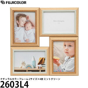 yz tWJ[ i`J[t[ 2603L4 ~gO[ [//L/Ǌ|/CeAG/ʐ^/FUJICOLOR]