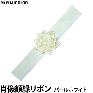 �t�W�J���[ �ё��z�����{�� �p�[���z���C�g �y���[���� ���������z