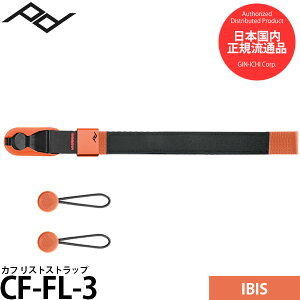 s[NfUC CF-FL-3 Jt XgXgbv ACrX y[ zy[z