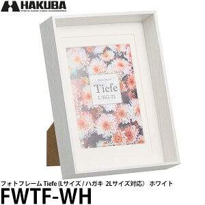 y[ z nNo FWTF-WT tHgt[ TiefeieB[tFj L^KGinKLj^2LiJrljTCY zCg [ʐ^/tHgX^h]