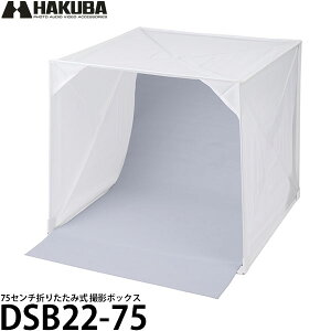 nNo DSB22-75 X^WI{bNX 75 [75Z`܂肽ݎ Be{bNX/Bp/nhChi Be] yz