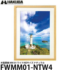 yz nNo FWMM01-NTW4 ؐz MM-01 Ch4؃TCY i` [ʐ^z/tHgt[/Ǌ|]