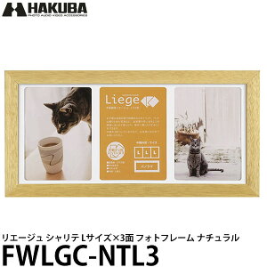 nNo FWLGC-NTL3 Ve vW[ LTCY×3 tHgt[ i`y[ zy[z
