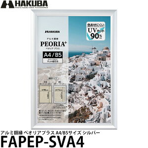 nNo FAPEP-SVA4 A~z yIAvX A4/B5TCY Vo[ y[ z