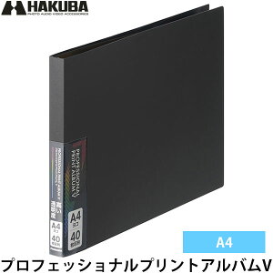 nNo vtFbVivgAoV A4iRjTCY 40[ y[ zy[z