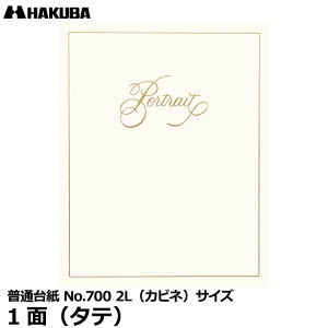 nNo M700-2LT-1 ʑ䎆 No.700 2LiJrljTCY 1ʁi^ej y[ z