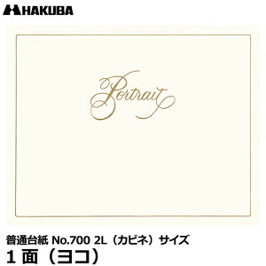 nNo M700-2LY-1 ʑ䎆 No.700 2LiJrljTCY 1ʁiRj y[ zy[z