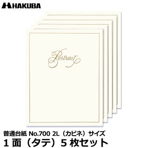 nNo M700-2LT5S-1 ʑ䎆 No.700 2LTCY 1ʁi^ej5Zbg y[ z