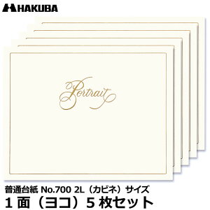ハクバ M700-2LY5S-1 普通台紙 No.700 2Lサイズ 1面(ヨコ)5枚セット 【メール便 送料無料】【即納】