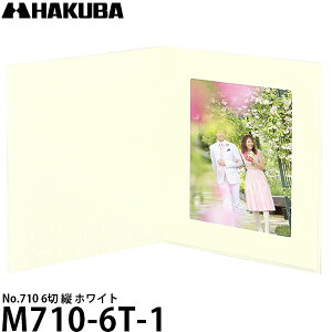 yz nNo M710-6T-1 ʑ䎆 No.710 6 c zCg [ l w LOʐ^]