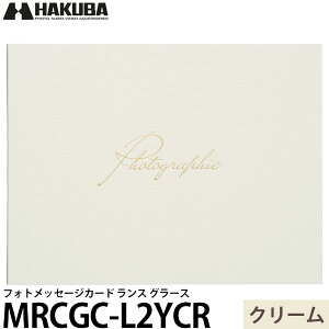 nNo MRCGC-L2YCR tHgbZ[WJ[h X O[X LTCY 2 R N[ y[ z