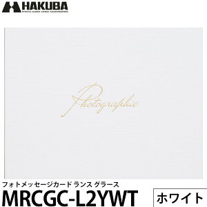 nNo MRCGC-L2YWT tHgbZ[WJ[h X O[X LTCY 2 R zCg y[ z