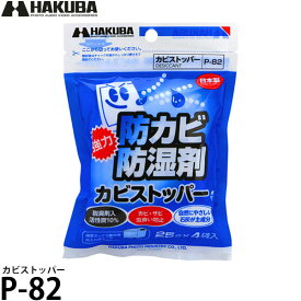 ハクバ P-82 カビストッパー 【メール便 送料無料】【即納】